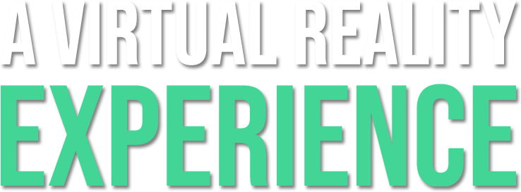 A virtual reality experience